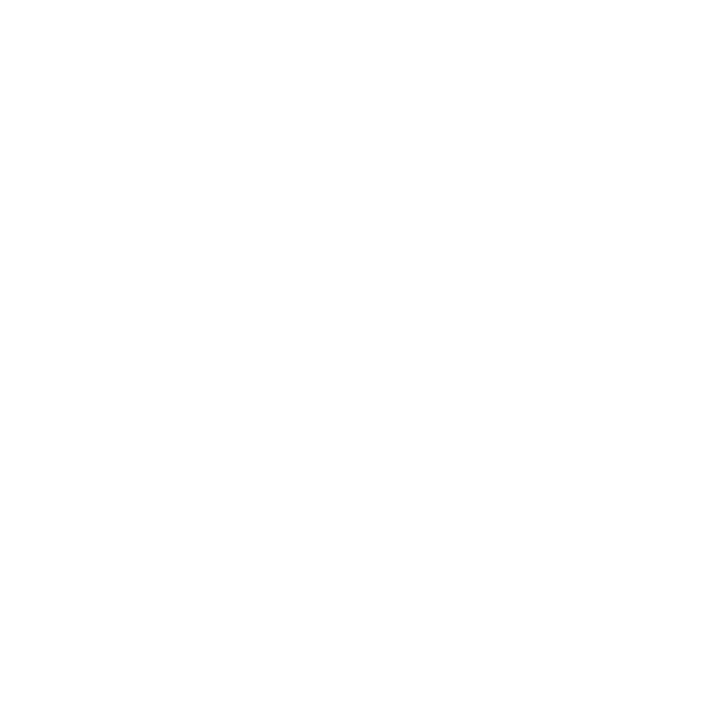 CSS icon