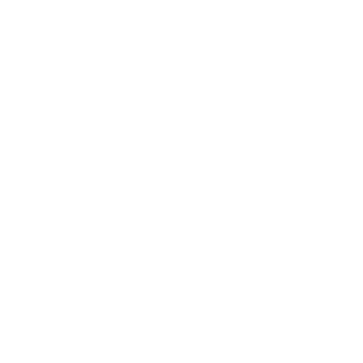 PHOTOSHOP icon