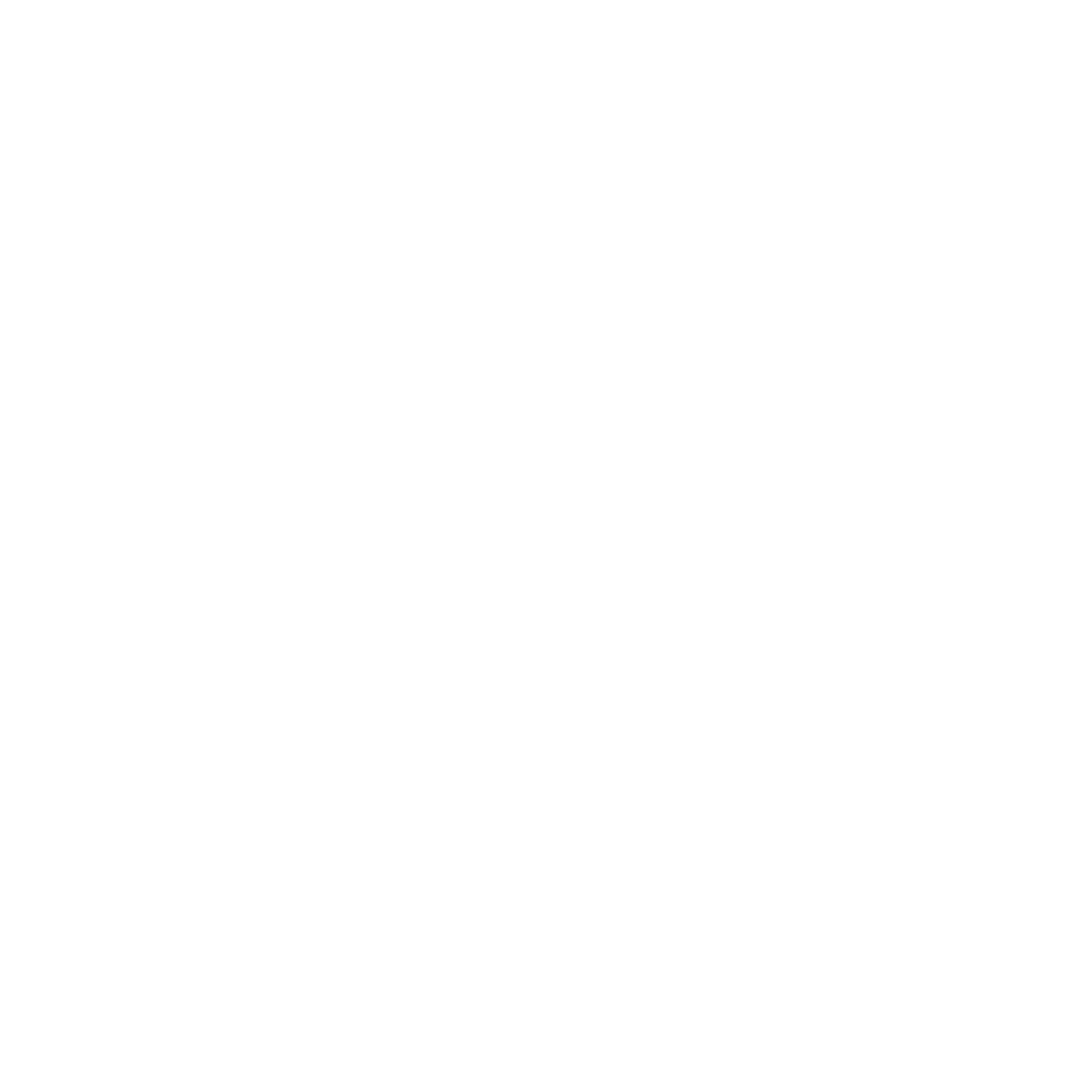 PHP icon