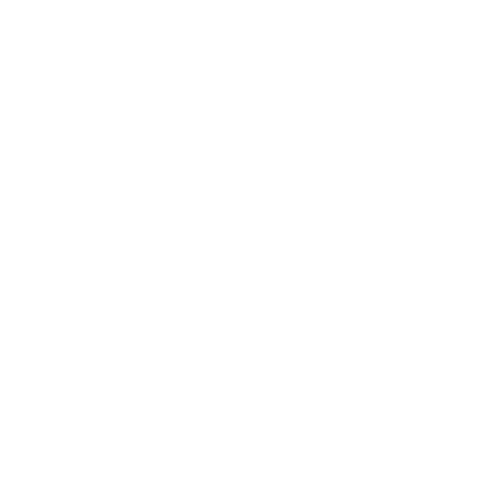 PYTHON icon